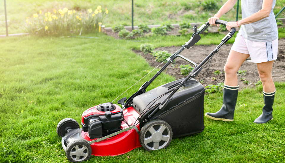 lawn mower grass