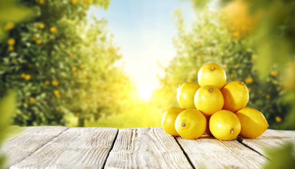 lemons on table