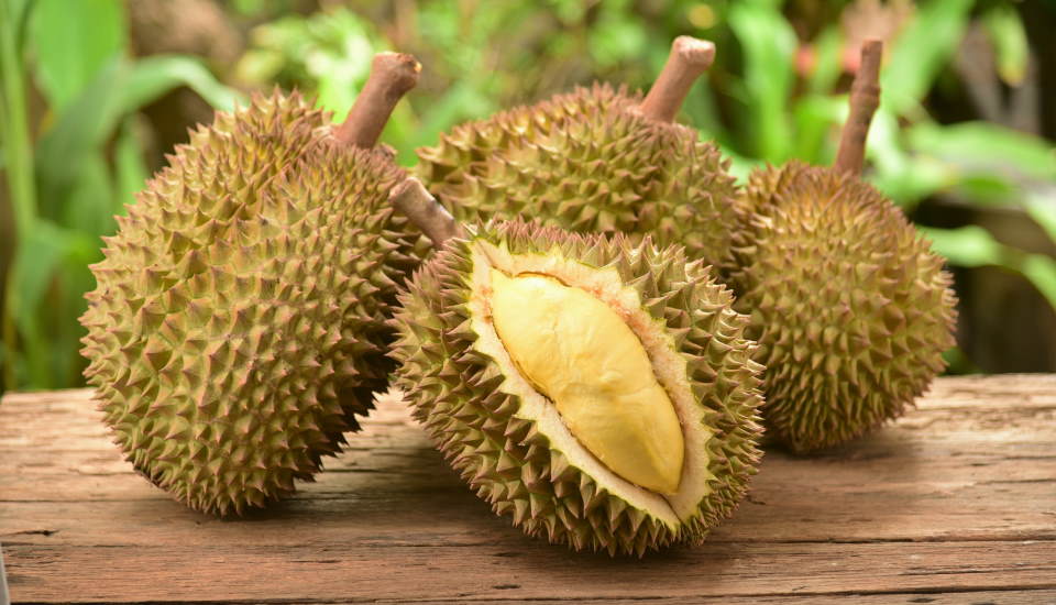 durian fruit