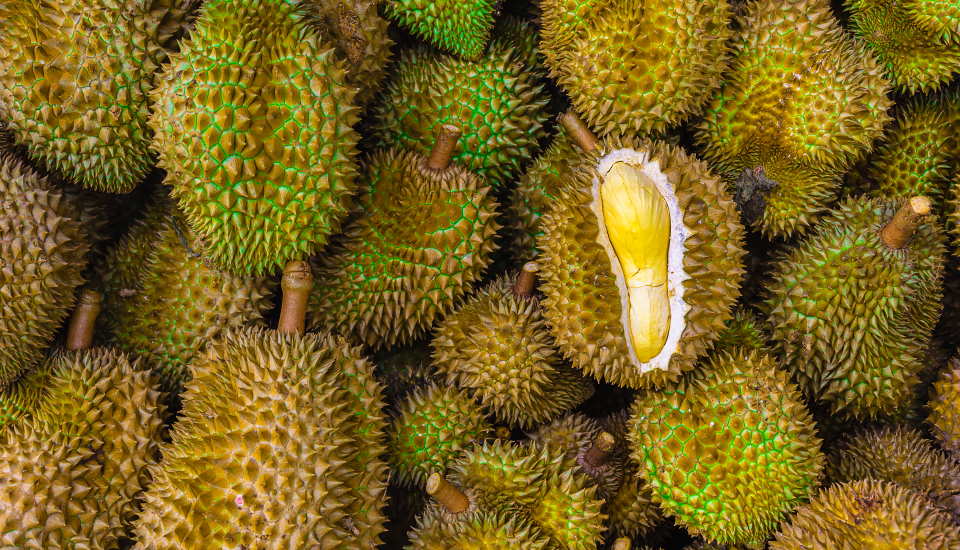 durian fruit