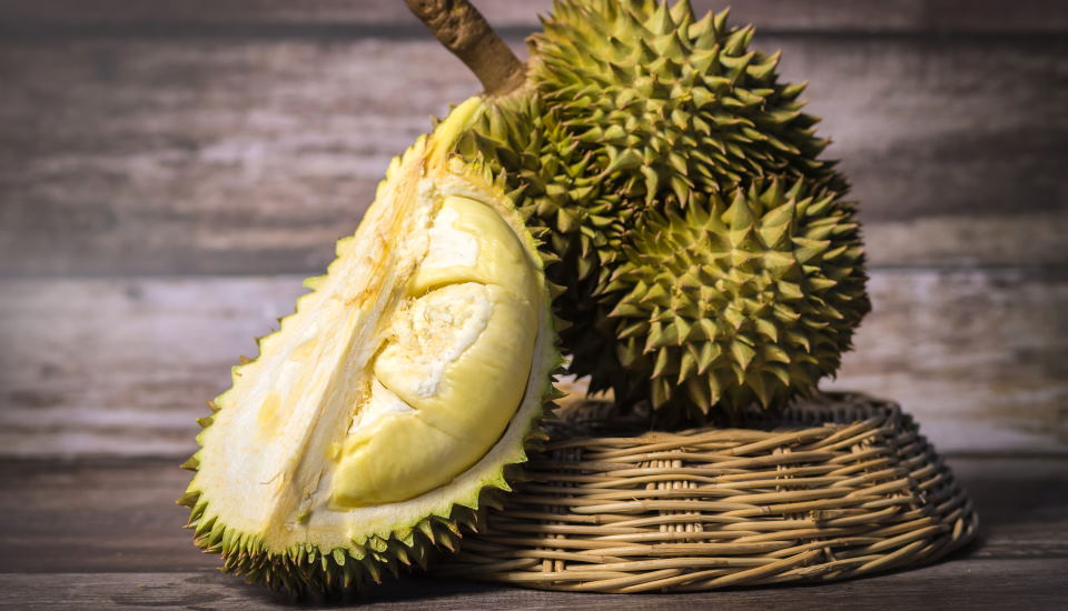 durian fruit