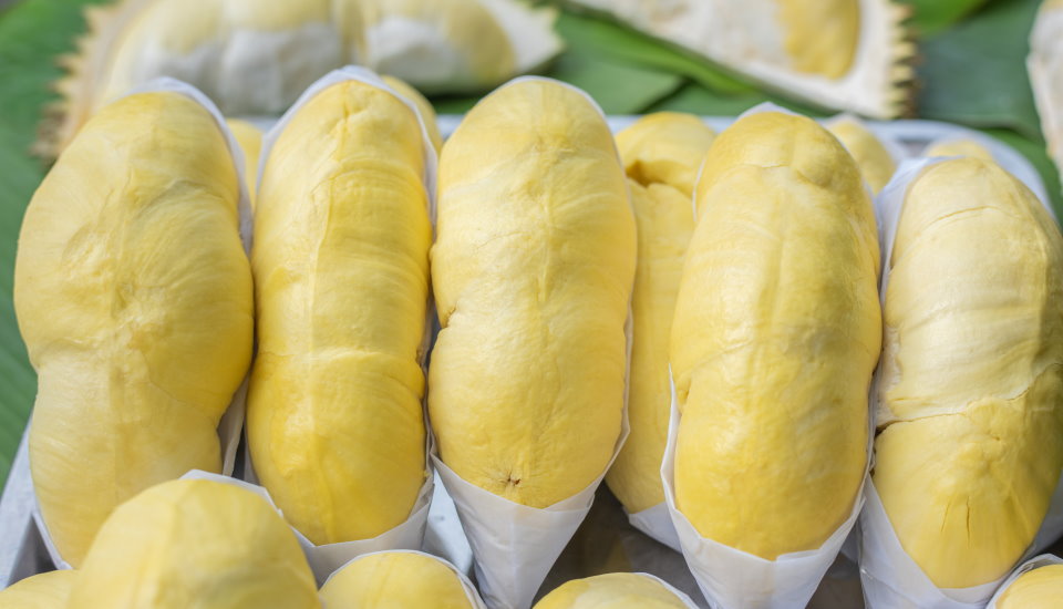 Durian Fruits Taste