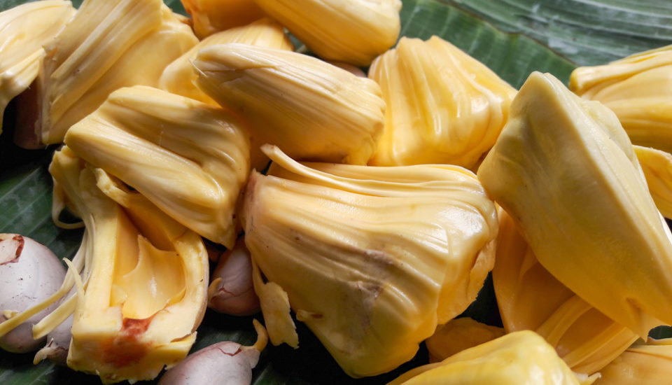 jackfruit