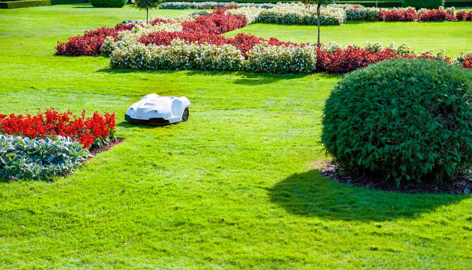 smart lawn mower grass