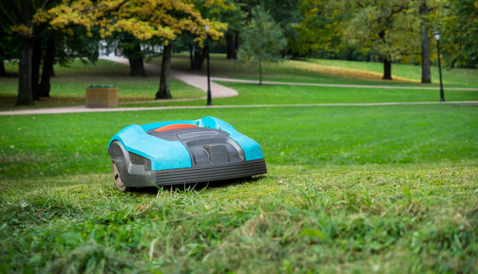 dethatch lawn, robotic