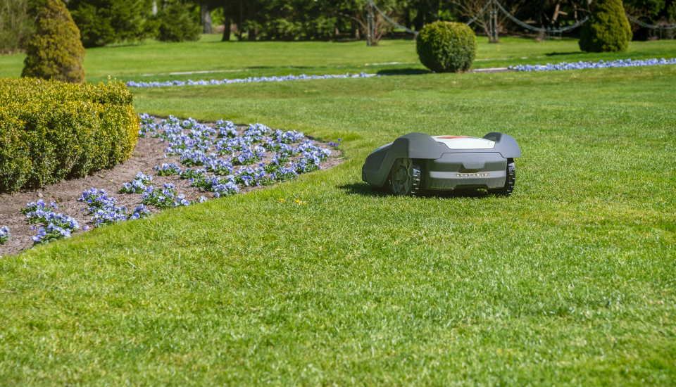 smart lawn mower grass