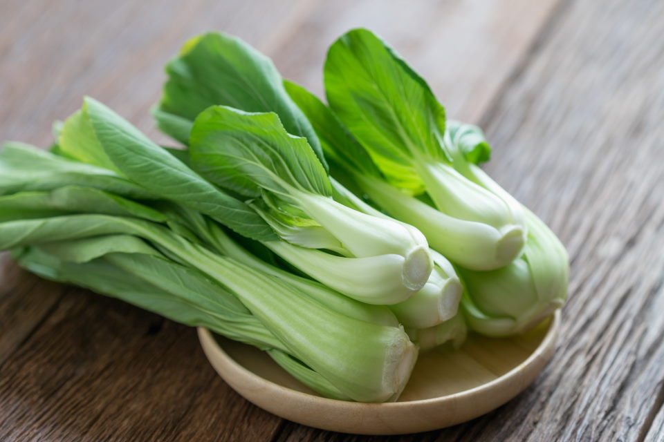 Bok Choy Plant