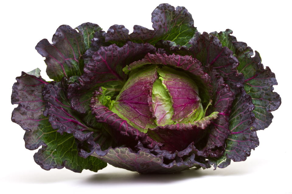 January King Cabbage