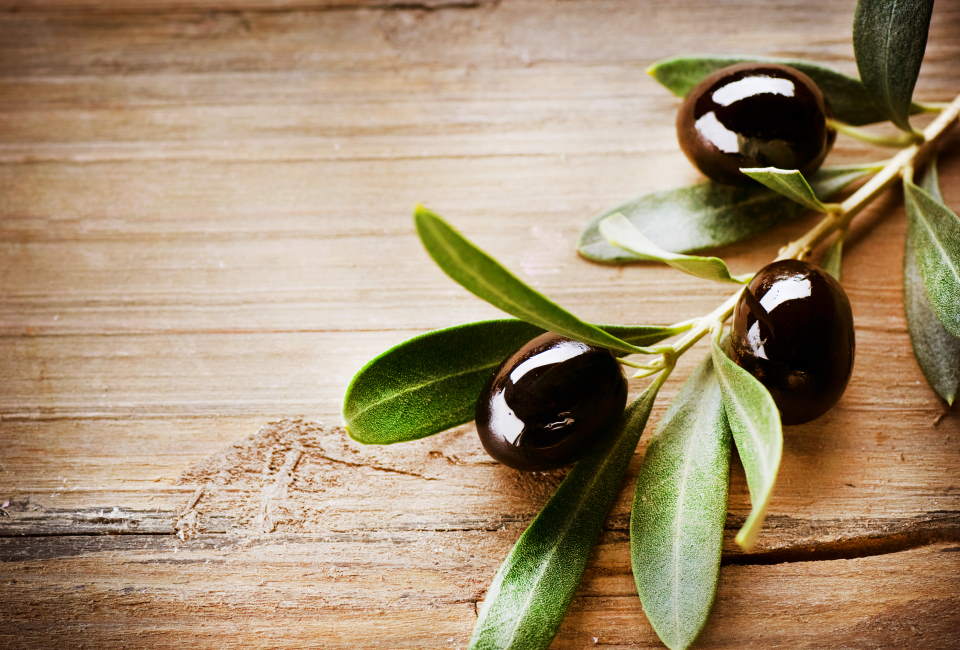 Black olives on branch