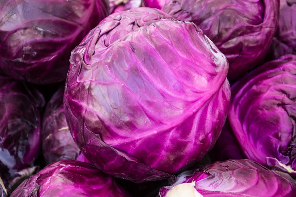 Red Cabbage