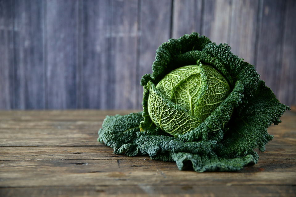 Savoy Cabbage