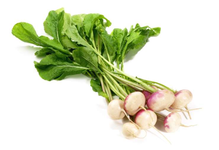turnip, white