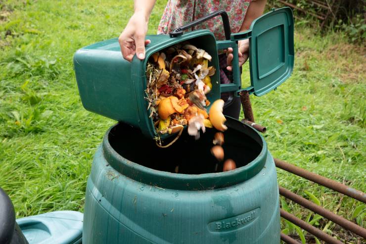 compost and fertilizer, bin