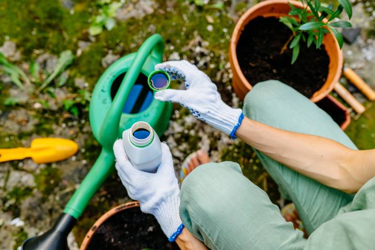 compost and fertilizer, chemical