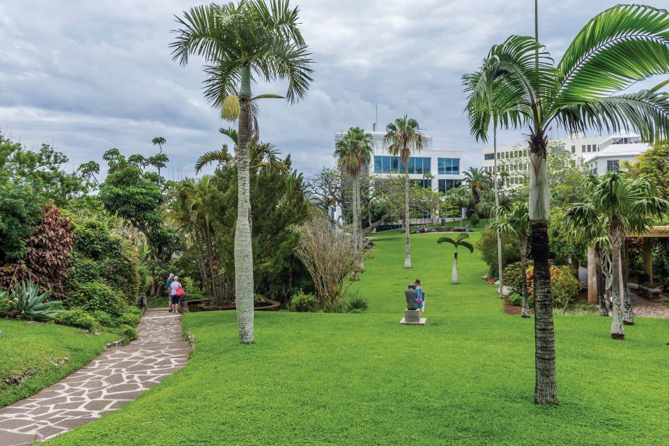 Bermuda grass, park