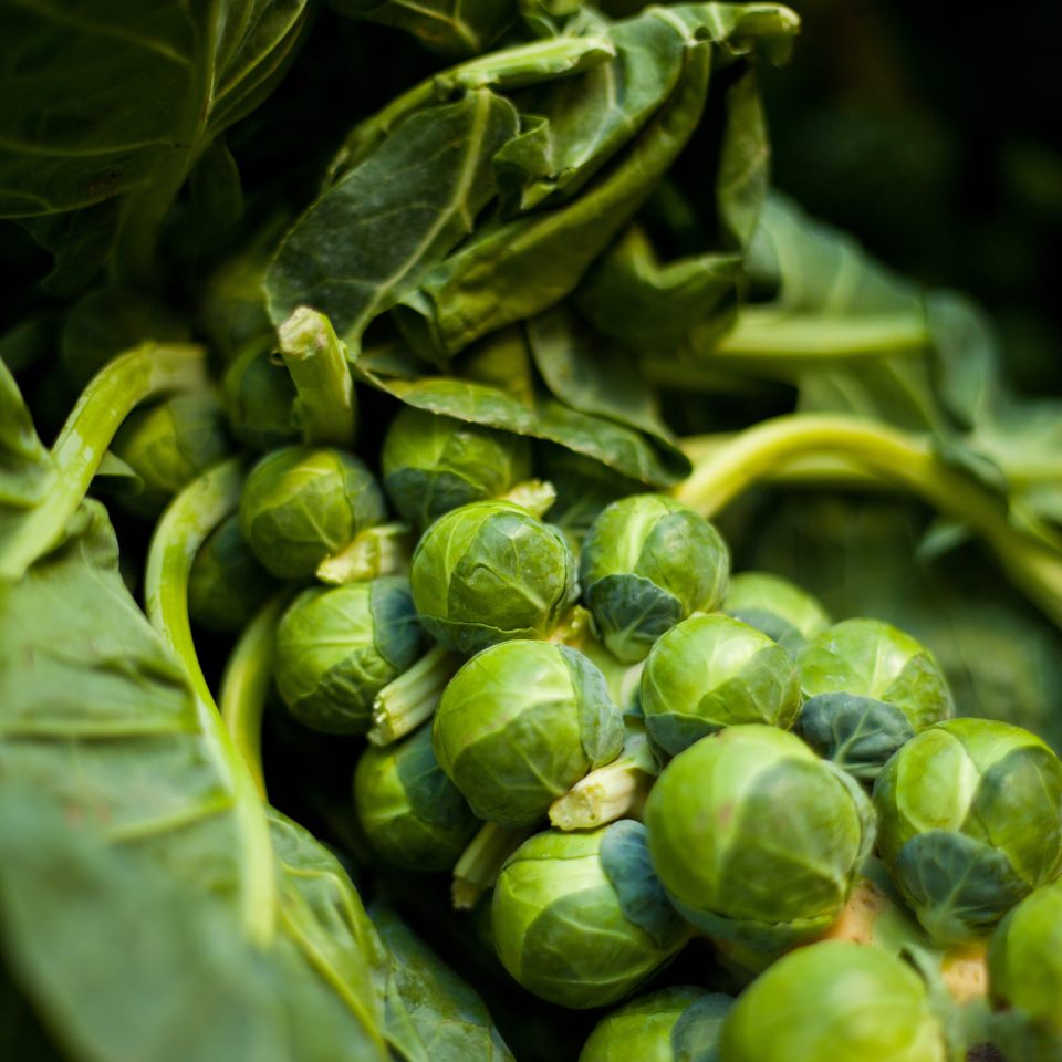 Beautiful Brussels Sprouts