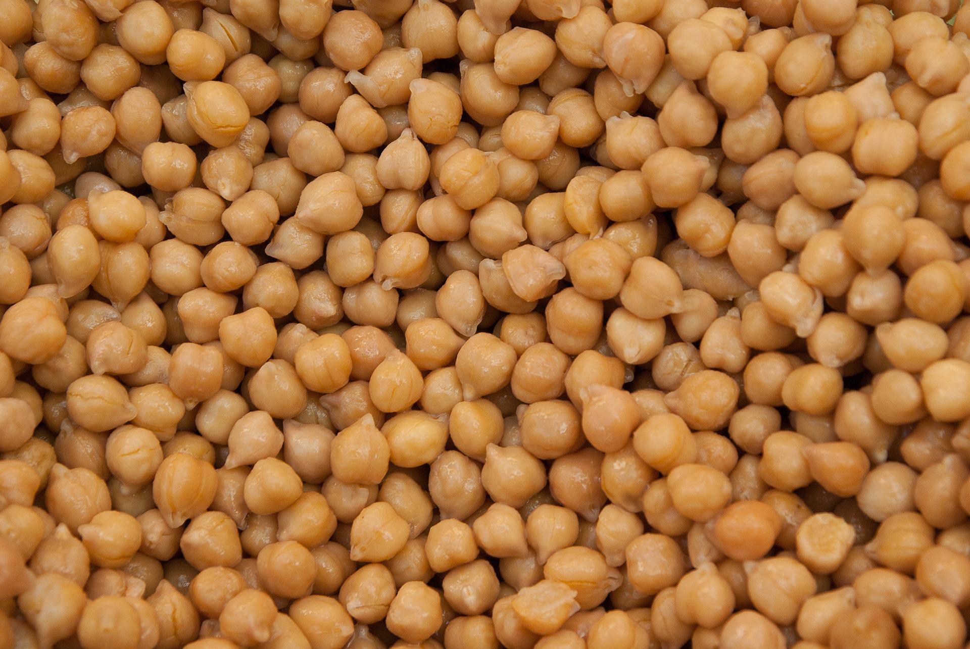 Chickpea Farming: How to Plant, and Grow