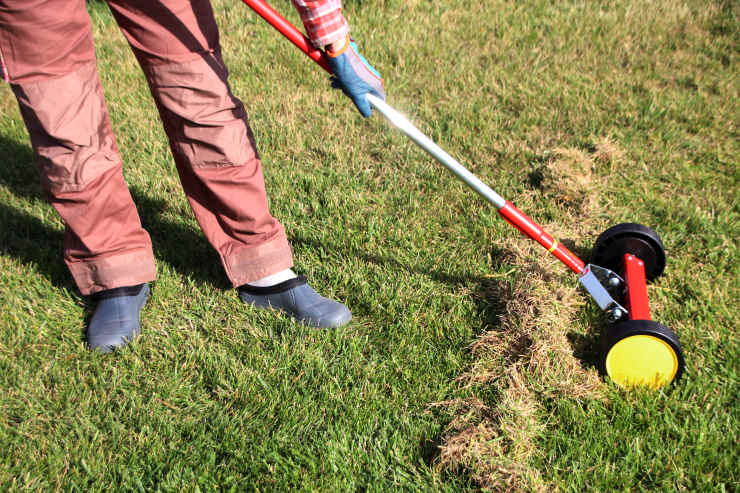 dethatch lawn, pile