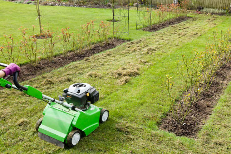 dethatch lawn, mower