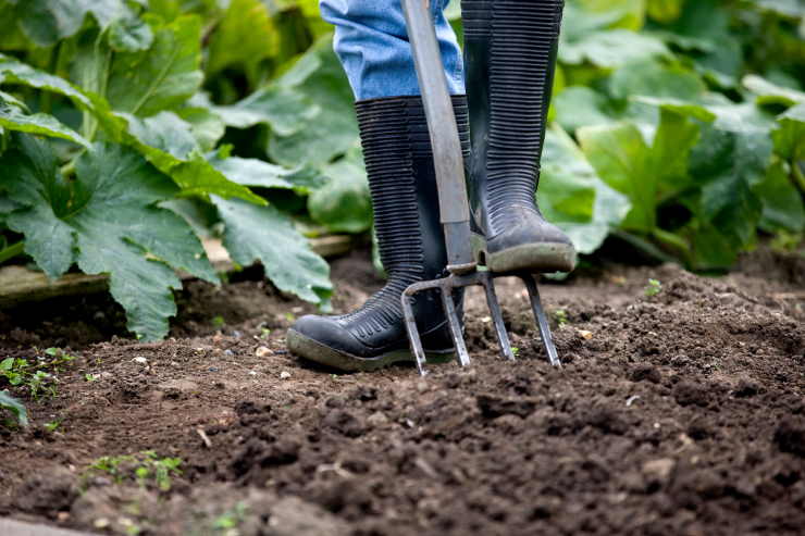 garden tools, garden fork