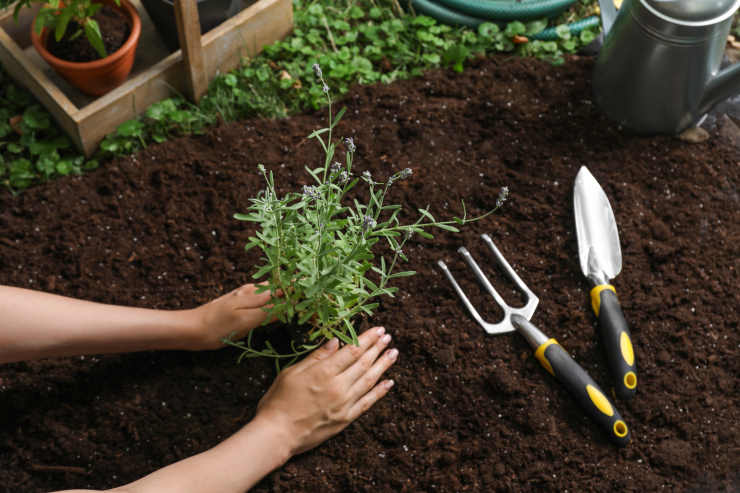 what to look for in gardening hand tools, handmade