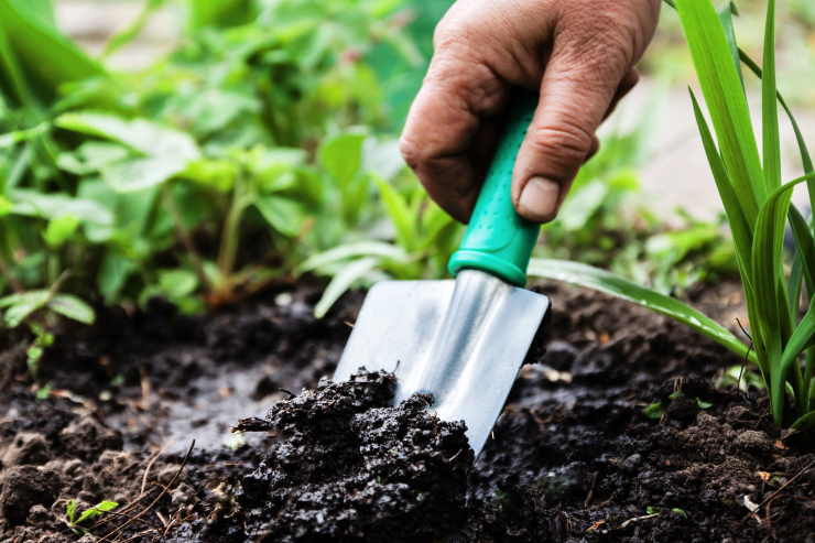 garden tools, hand shovel