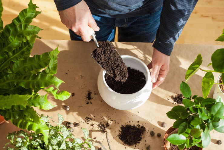 garden tools, hand trowel