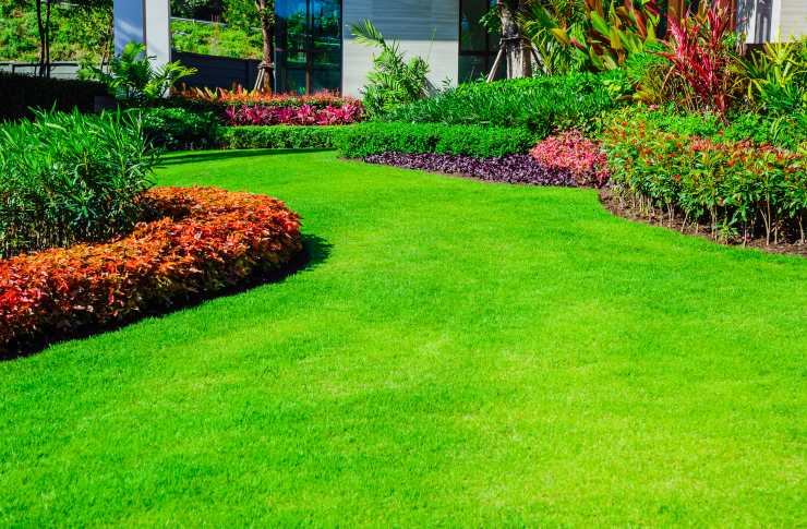 how to manage your lawn, garden