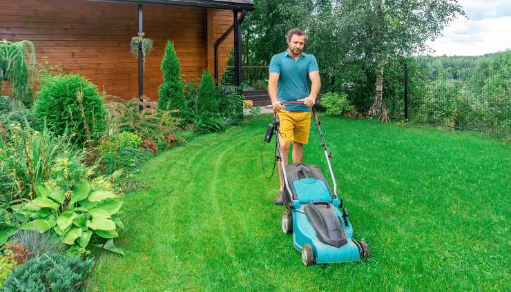 dethatch lawn, working