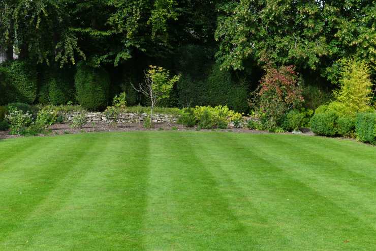 lawn mowing, garden