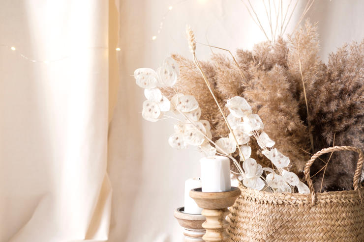 10 Best Pampas Grass Decor Ideas PlantNative Org   Pampasgrass3 