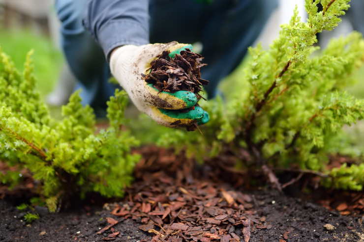 mulch, hand