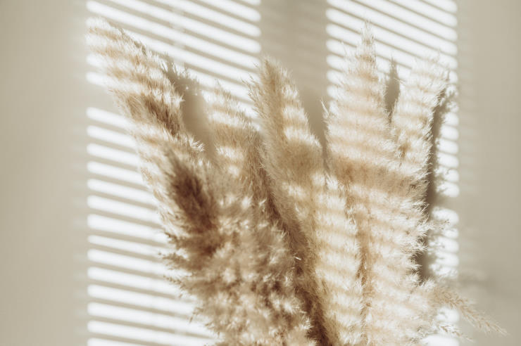 pampas grass decor, lines