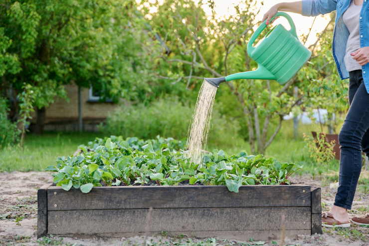 watering guide, far