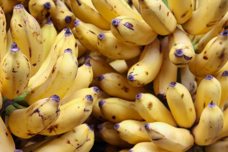 How to Grow a Banana, pack