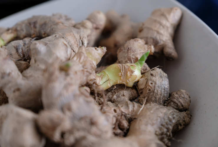 how to grow ginger from seed, laid