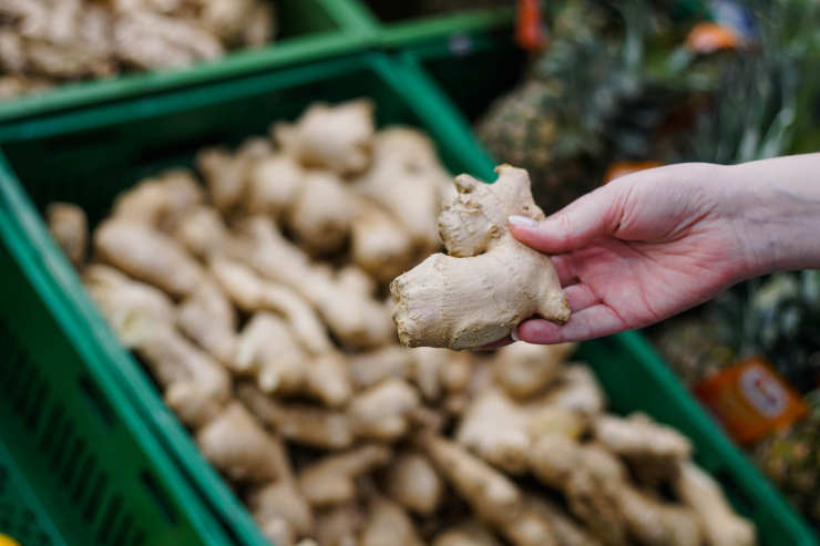 how to grow ginger from seed, deep focus