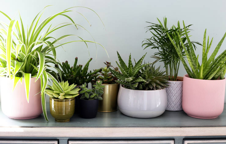 pots to use for indoor plants, shiny