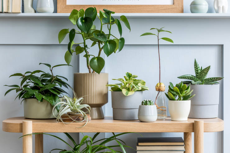 pots to use for indoor plants, sleek