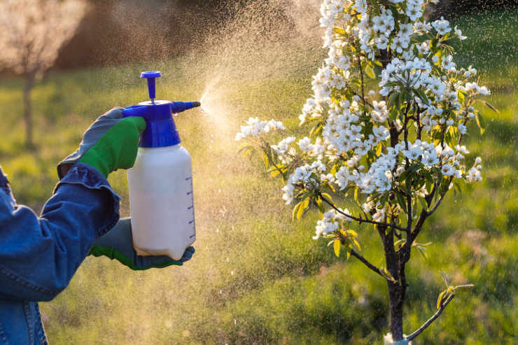 protecting trees & plants from insects and sunburn, spray