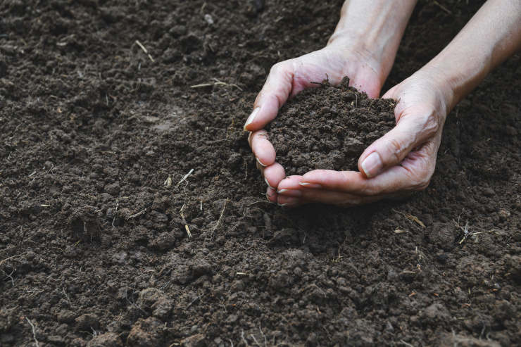 soil guide for gardeners, grasp