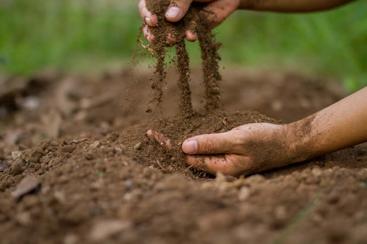 soil guide for gardeners, weighing