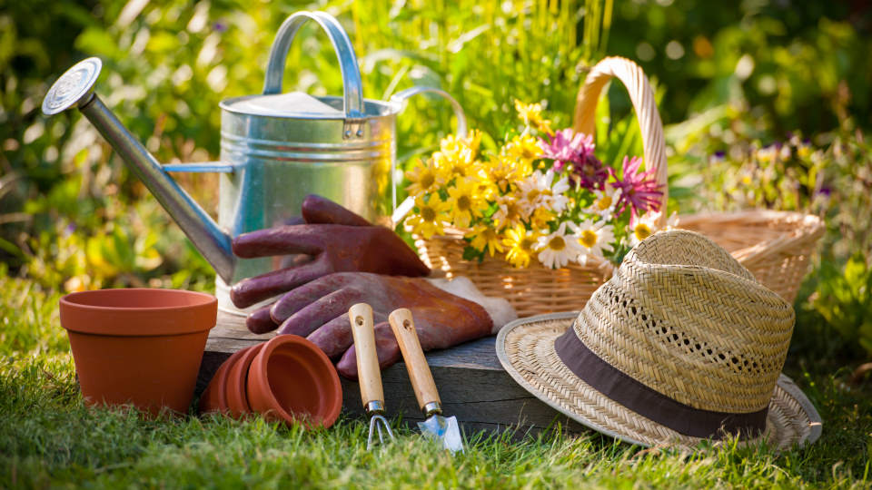 what to look for in gardening hand tools, soft