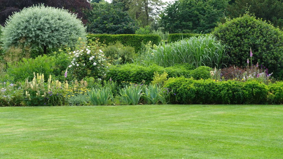 Guide to Seeding a Lawn