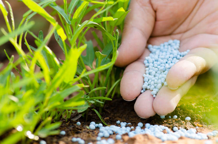 what to look for fertilizer, balls