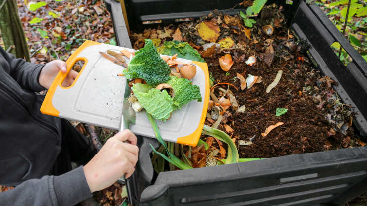 what to look for in a compost, vegetable
