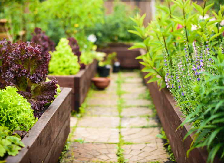 What Material Is Best for Raised Garden Beds