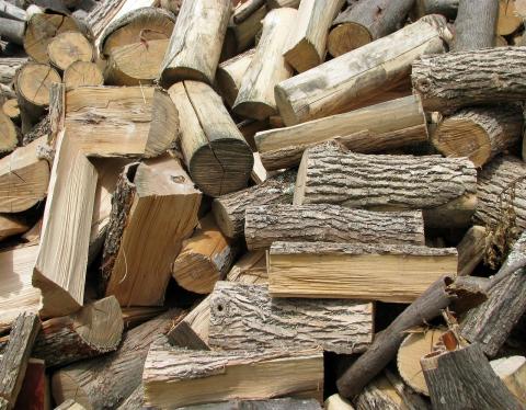 Is Ash Good for Firewood – Is Ash Good for Burning