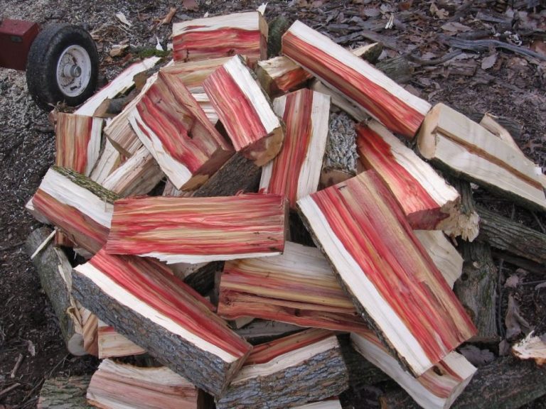 Is Box Elder Good for Firewood Burning Questions About Box Elder