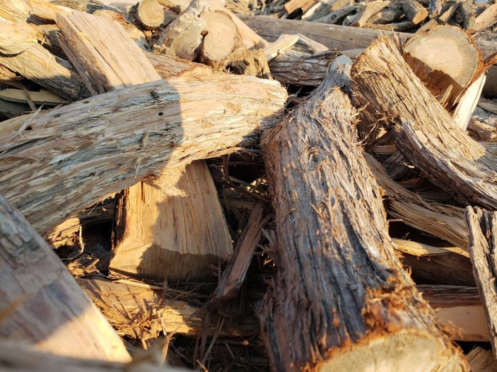 Is Cedar Good for Firewood/Burning